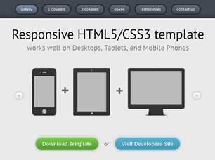 Responsive Free CSS Template