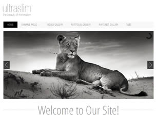UltraSlim Free Website Template