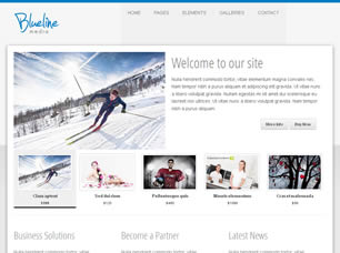 Blueline Media Free Website Template