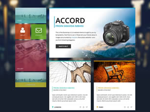 Accord Free Website Template