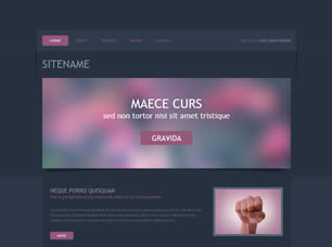 HTML 43 Free CSS Template
