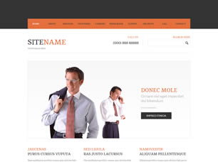 HTML 53 Free CSS Template