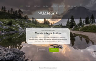 Arialogic Free Website Template