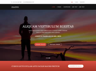 Exative Free Website Template
