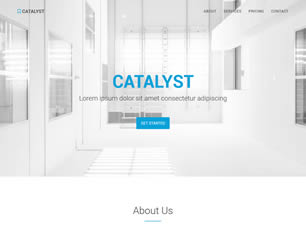 Catalyst Free CSS Template
