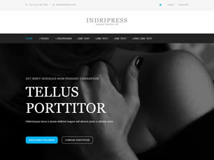 Indripress Free Website Template