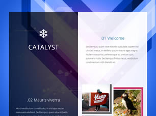 Catalyst Free Website Template