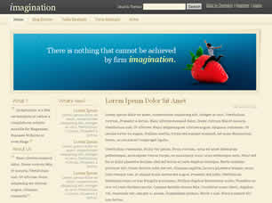 Imagination Free CSS Template