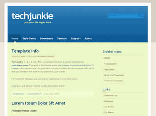 TechJunkie 1.0 Free Website Template