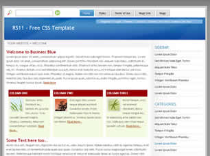 RS11 Free CSS Template
