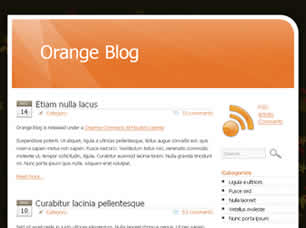 Orange Blog Free Website Template