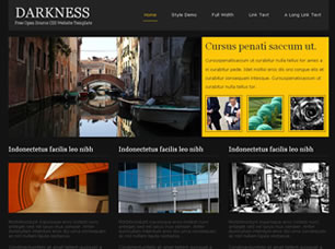 Darkness Free CSS Template