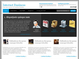 Internet Business Free Website Template