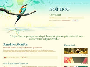 Solitude Free Website Template