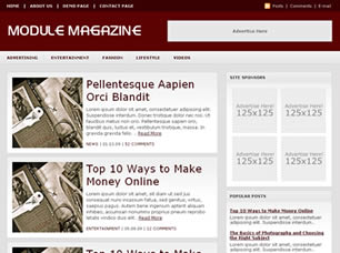 ModuleMag Free Website Template