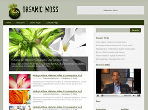 Organic Moss Free Website Template