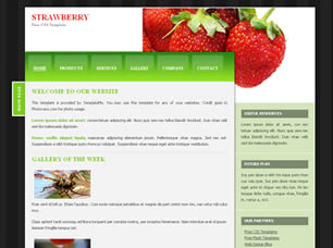 Strawberry Free CSS Template