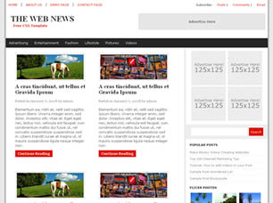 The Web News Free Website Template
