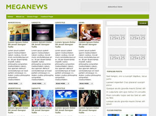 Meganews Free Website Template