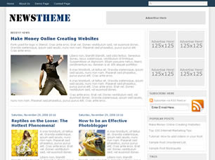 NewsTheme Free Website Template