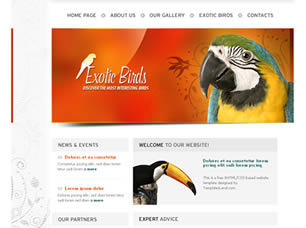 Exotic Birds Free Website Template