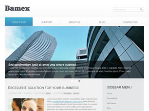 Bamex Free Website Template