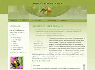 Beez Free CSS Template