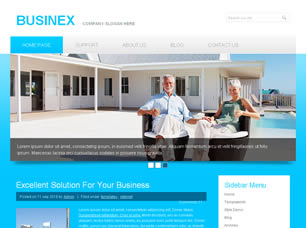 BusineX Free Website Template