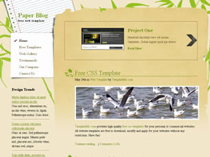 Paper Blog Free Website Template