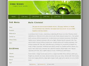 Lime Green Free Website Template