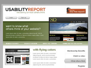 UsabilityReport Free CSS Template
