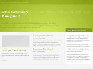 Social Community Management Free CSS Template