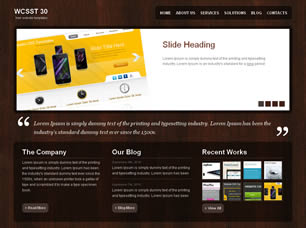 WCSST 30 Free CSS Template