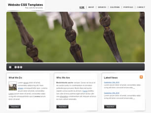 WCSST 33 Free CSS Template