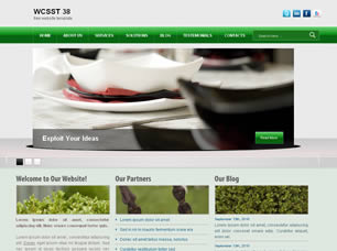 WCSST 38 Free Website Template