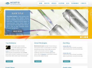 WCSST 53 Free Website Template