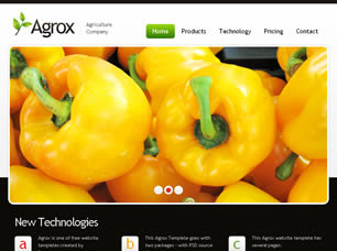 Agrox Free CSS Template