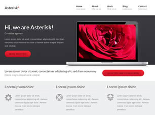 Asterisk Free Website Template
