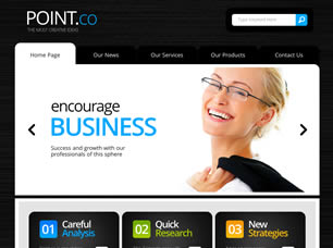 Point.co Free Website Template