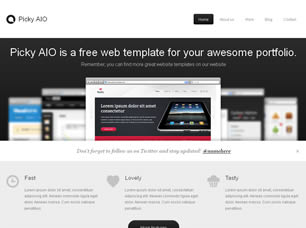 Picky AIO Free Website Template