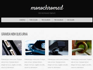 Monochromed Free CSS Template