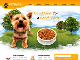 Pet Shop Free Website Template