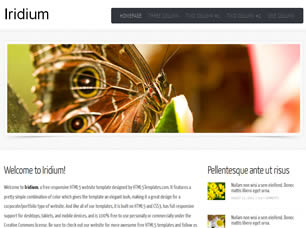Iridium Free CSS Template