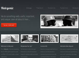 Halcyonic Free CSS Template