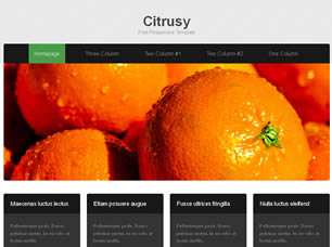 Citrusy Free Website Template
