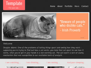 The Cat Free CSS Template