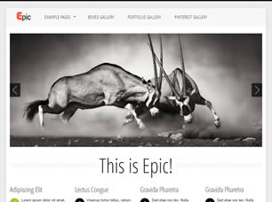 Epic Free Website Template