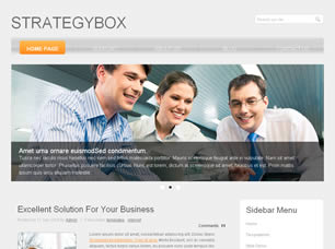 StrategyBox Free CSS Template