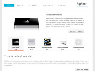 Bigshot Free Website Template