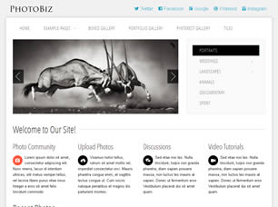 PhotoBiz Free Website Template